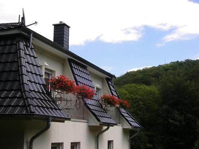 Appartement Weisses-haus-am-kurpark-fewo-waldblick