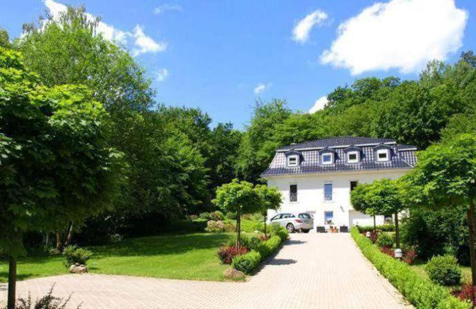 Weisses-haus-am-kurpark-fewo-waldblick