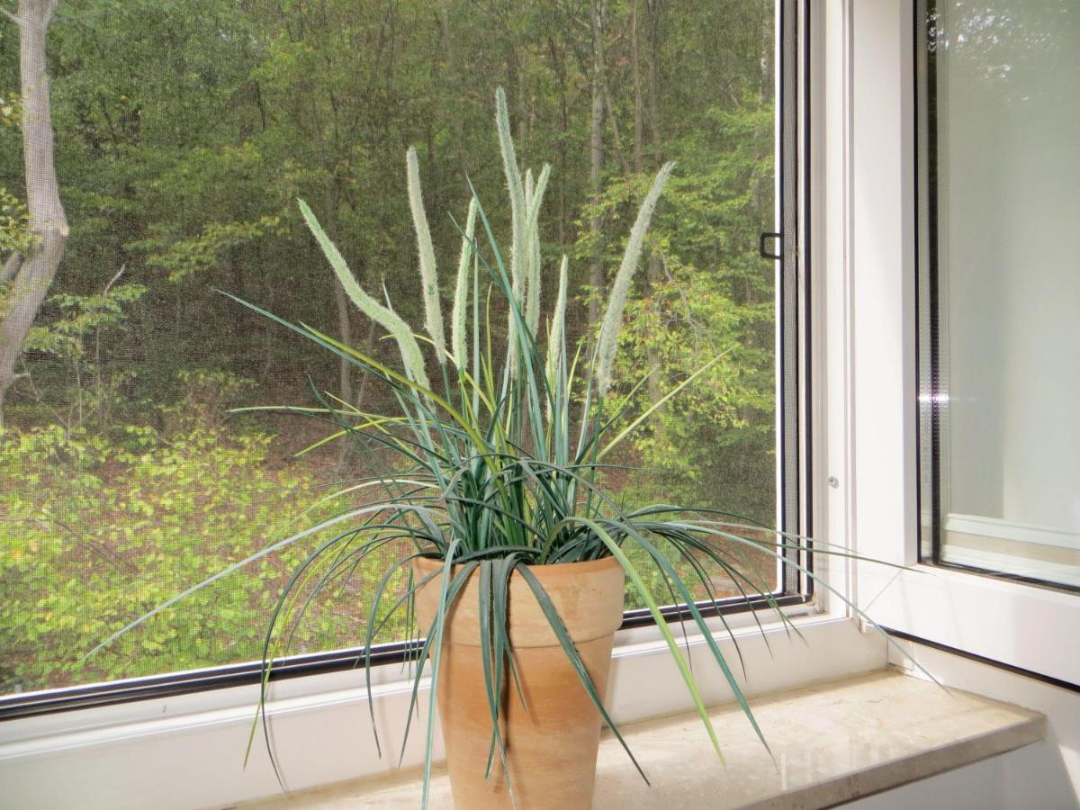 Weisses-haus-am-kurpark-fewo-waldblick Appartement *