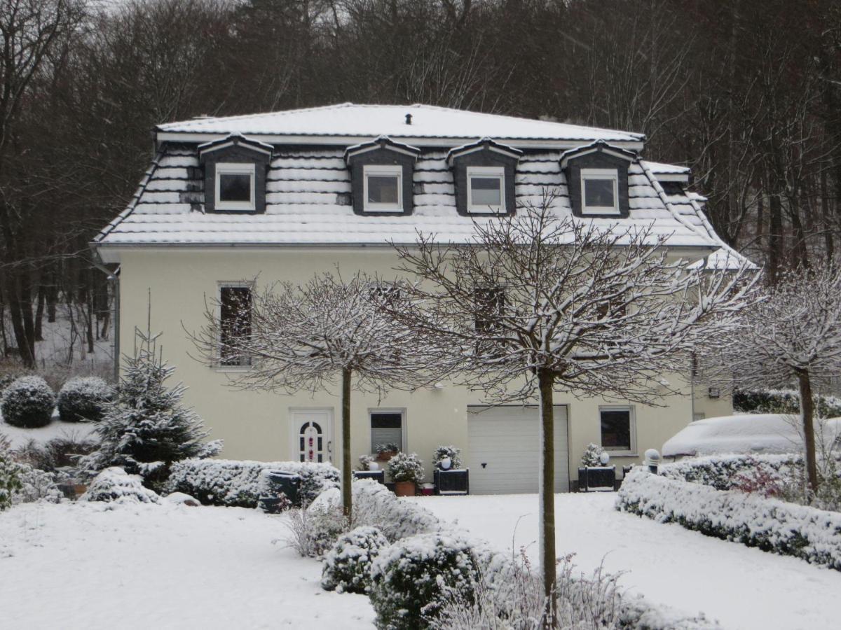 Appartement Weisses-haus-am-kurpark-fewo-waldblick